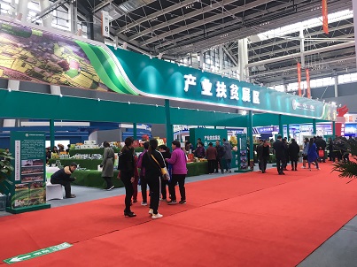 展会照片——正博会